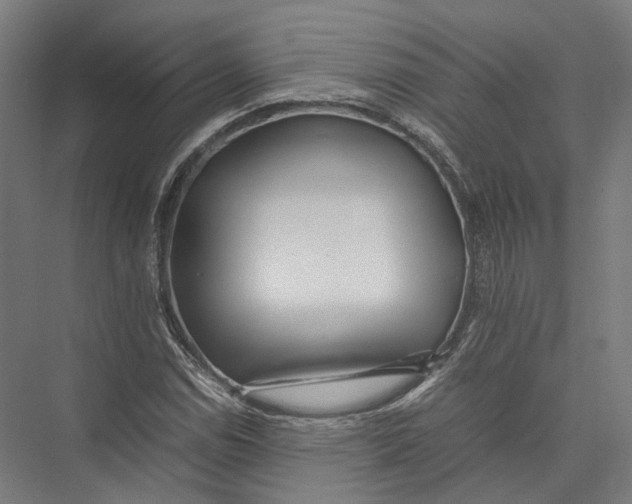 X0000075361114200610061739