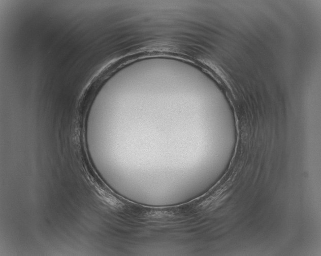 X0000075361115200610061739