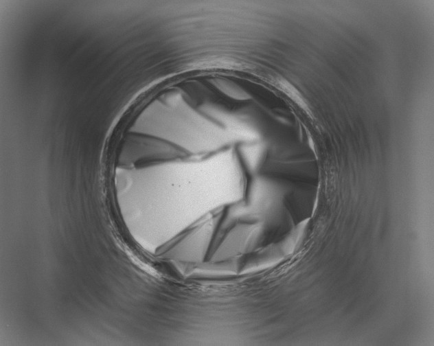 X0000075361116200610061739