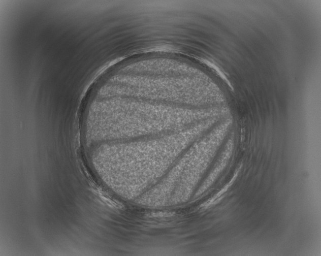 X0000075361117200610061739