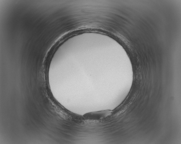 X0000075361118200610061740