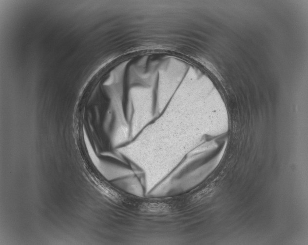 X0000075361119200610061740