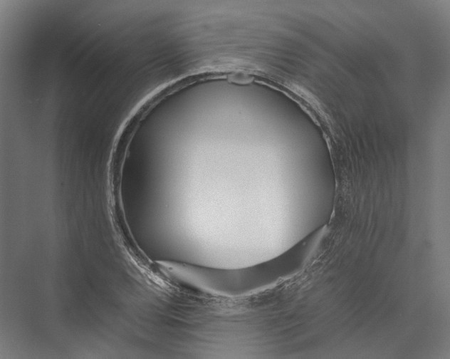 X0000075361120200610061740