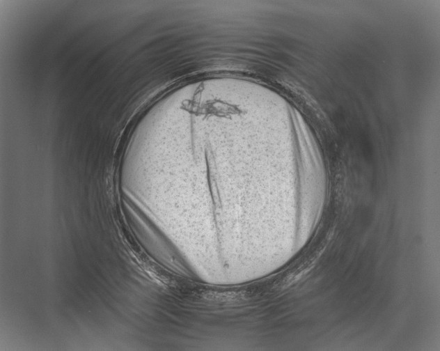 X0000075361121200610061740