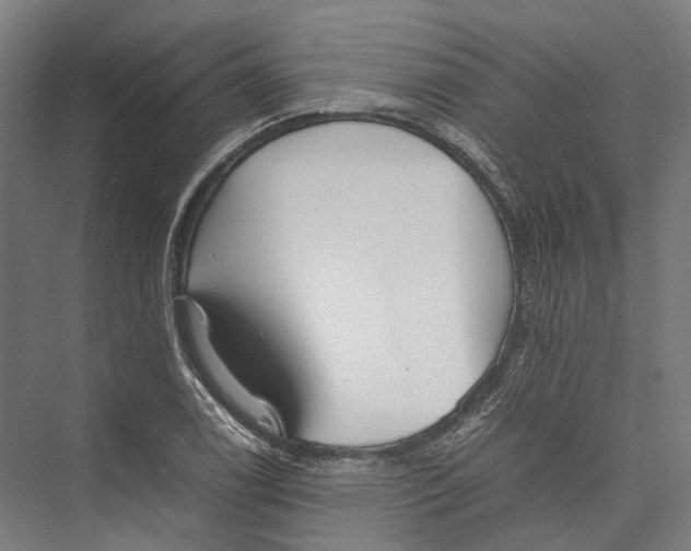 X0000075361122200610061740