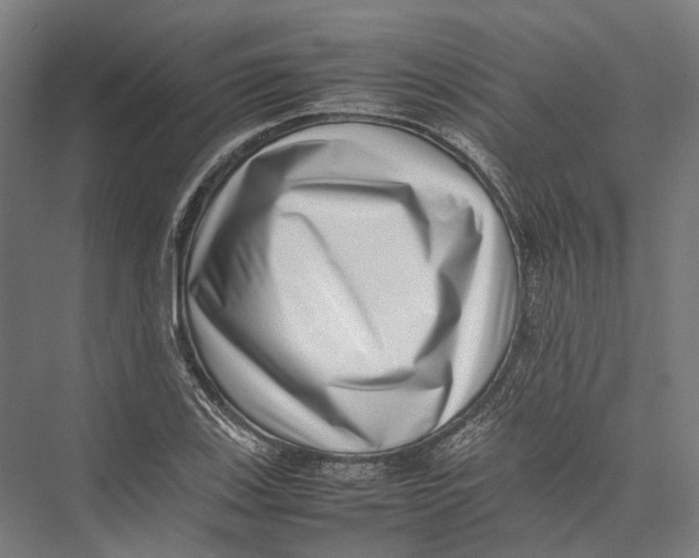 X0000075361123200610061740