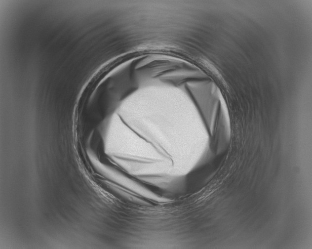 X0000075361124200610061740