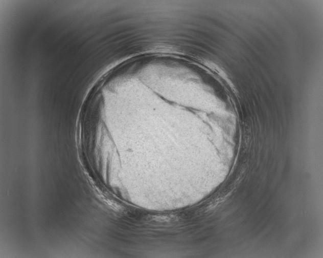 X0000075361125200610061740