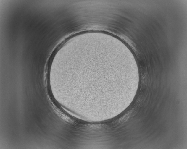 X0000075361126200610061740