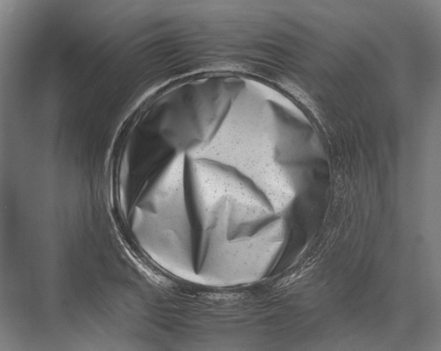 X0000075361127200610061740