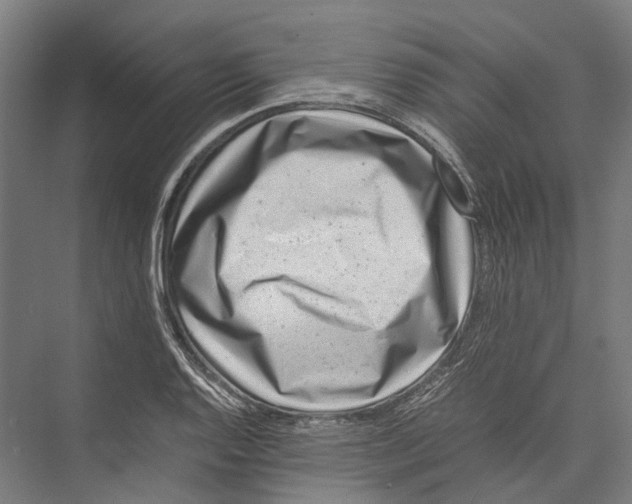 X0000075361128200610061740