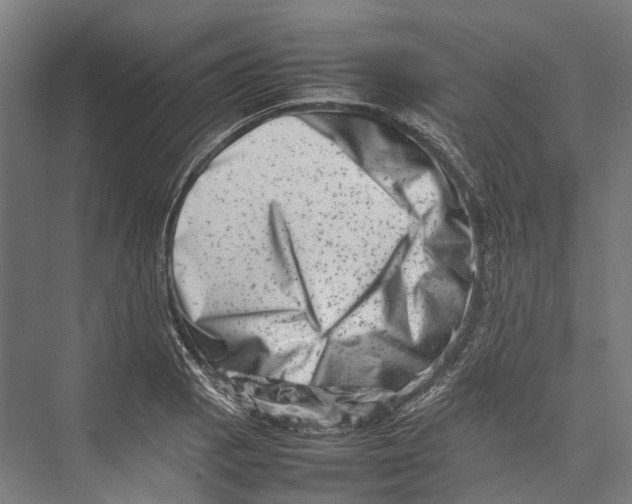 X0000075361129200610061740