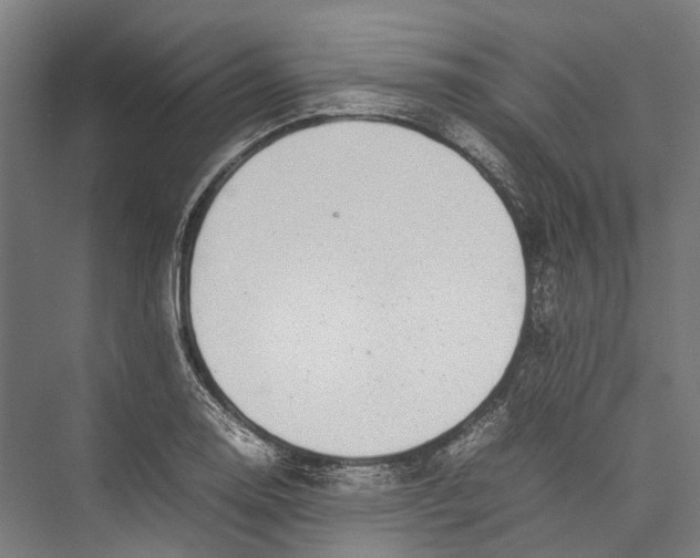 X0000075361130200610061740