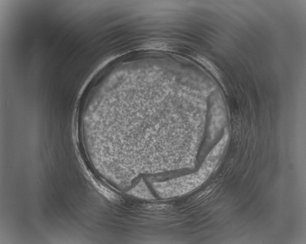 X0000075361131200610061740