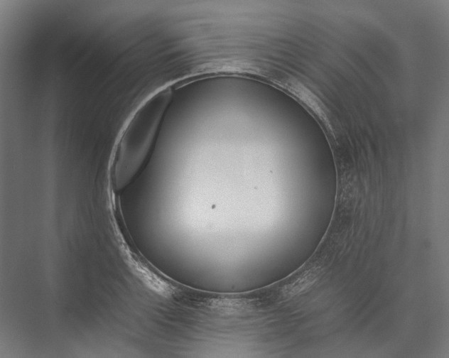 X0000075361132200610061740