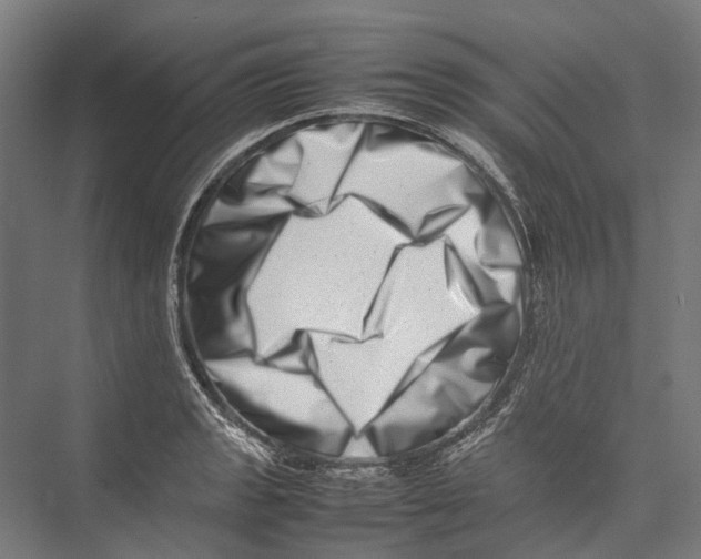 X0000075361133200610061740