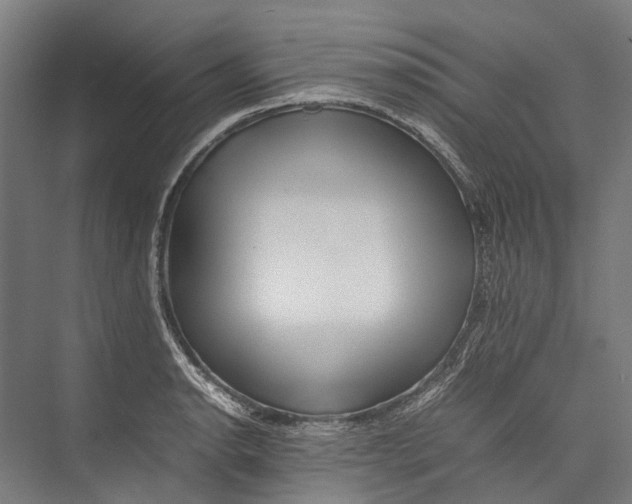 X0000075361134200610061740