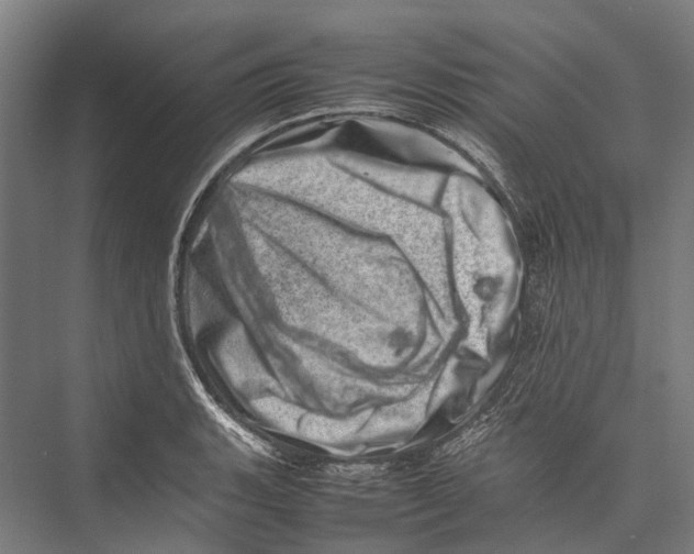 X0000075361135200610061740