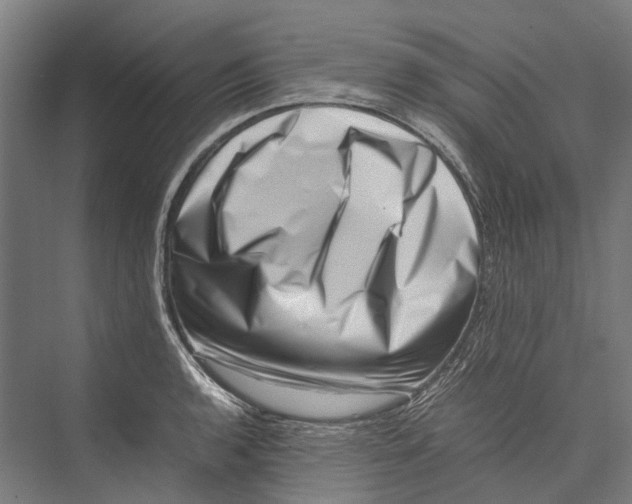 X0000075361136200610061740