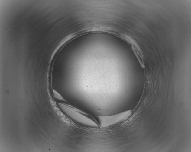 X0000075361138200610061740