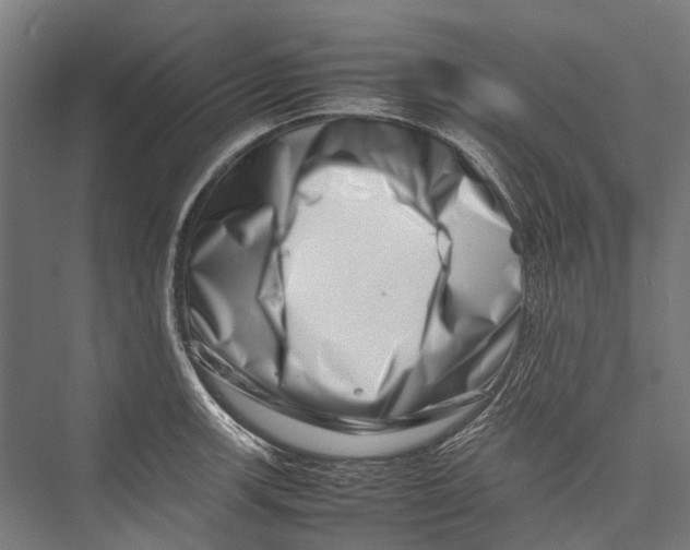 X0000075361139200610061740