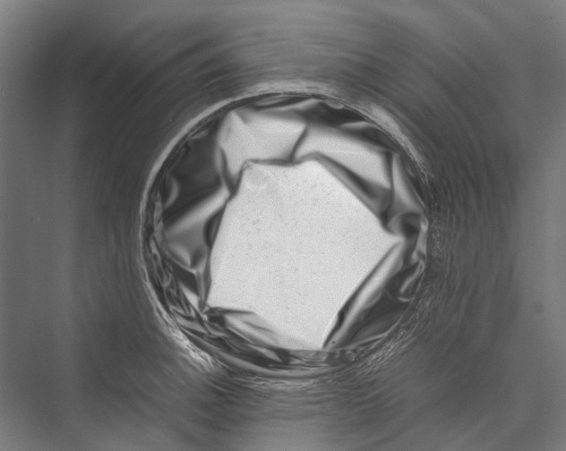 X0000075361140200610061740