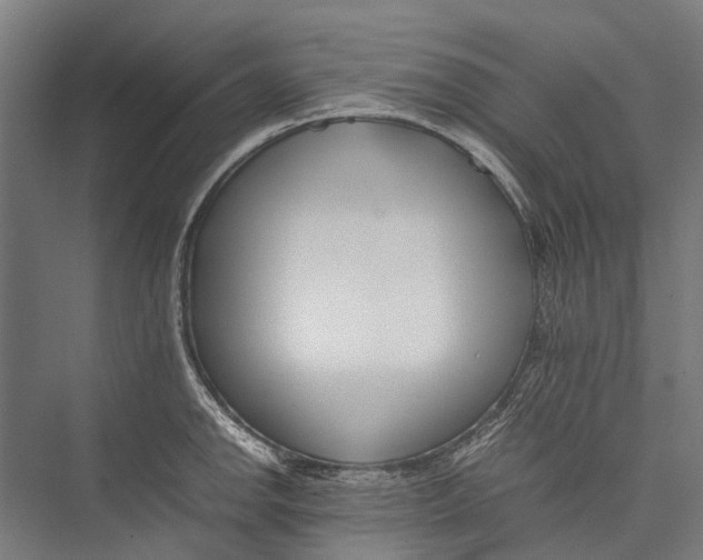 X0000075361142200610061740