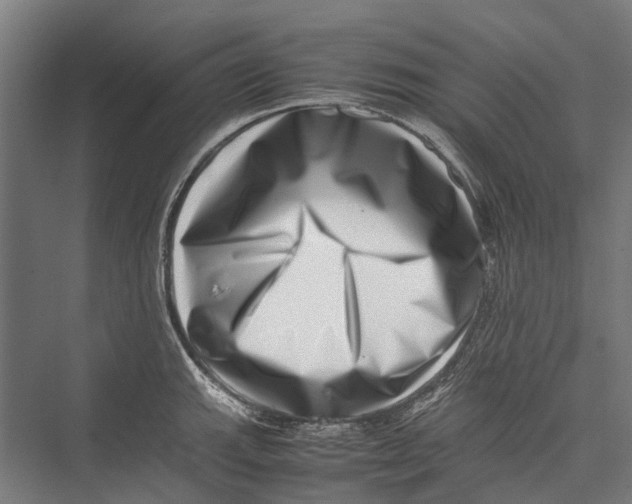 X0000075361143200610061740