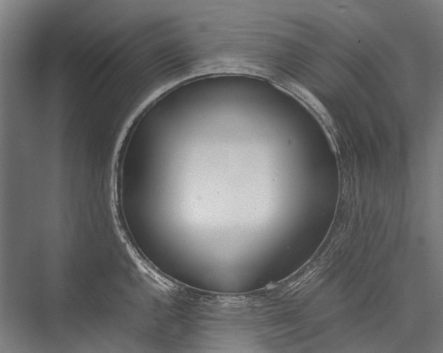 X0000075361144200610061740