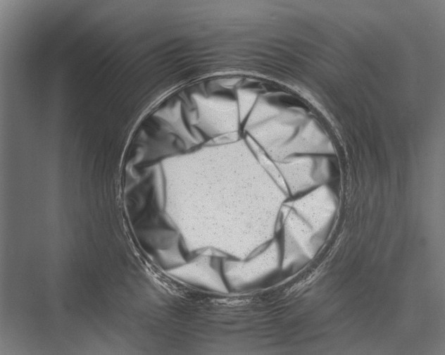 X0000075361145200610061740