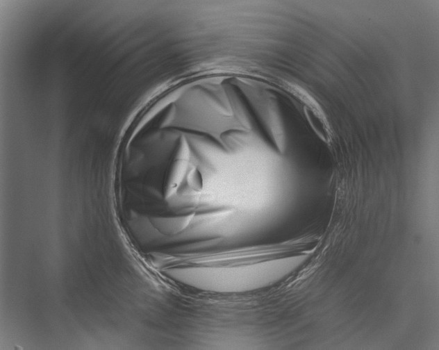 X0000075361146200610061740