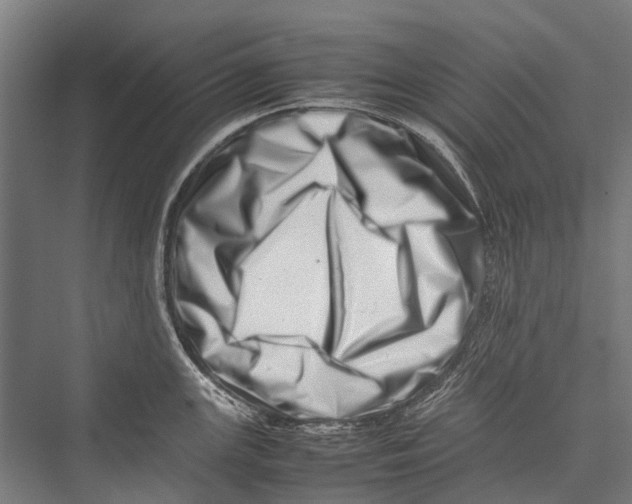 X0000075361147200610061740