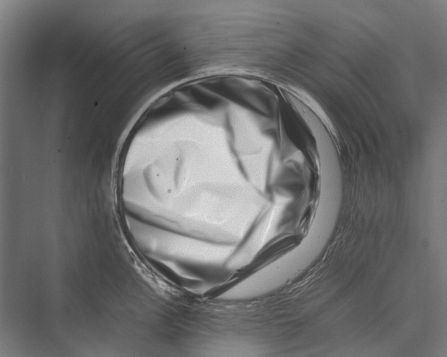 X0000075361148200610061740