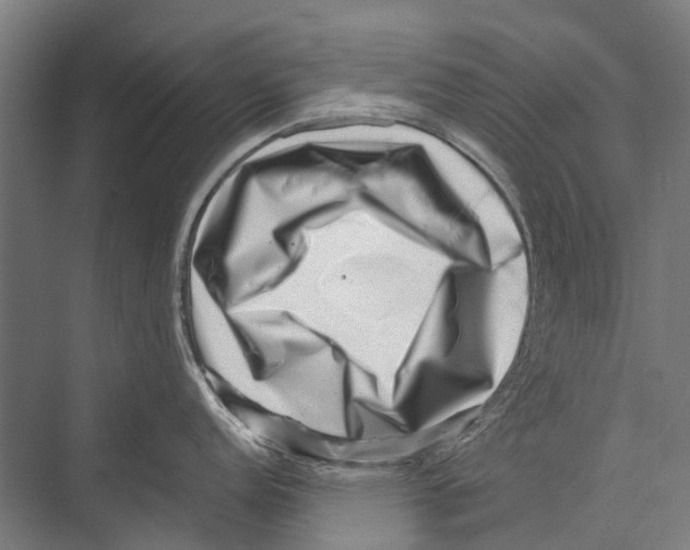 X0000075361152200610061740