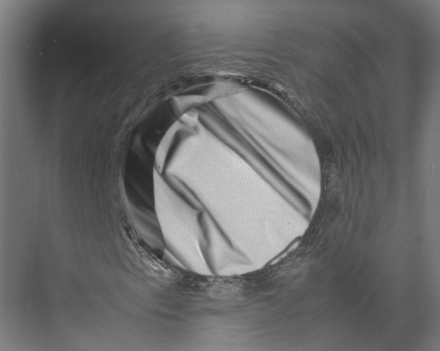 X0000075361153200610061739