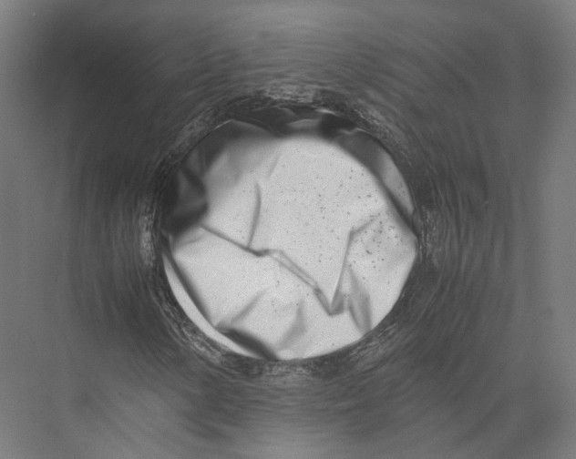 X0000075361154200610061739