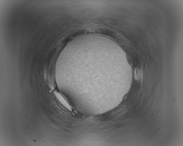 X0000075361155200610061739