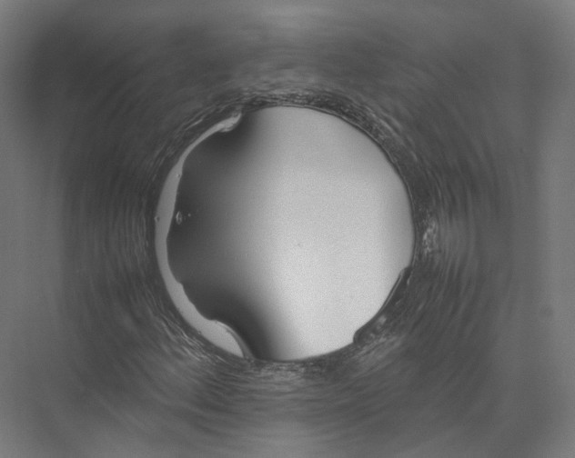 X0000075361156200610061739