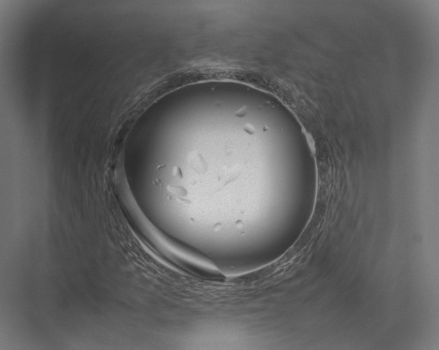 X0000075361157200610061739