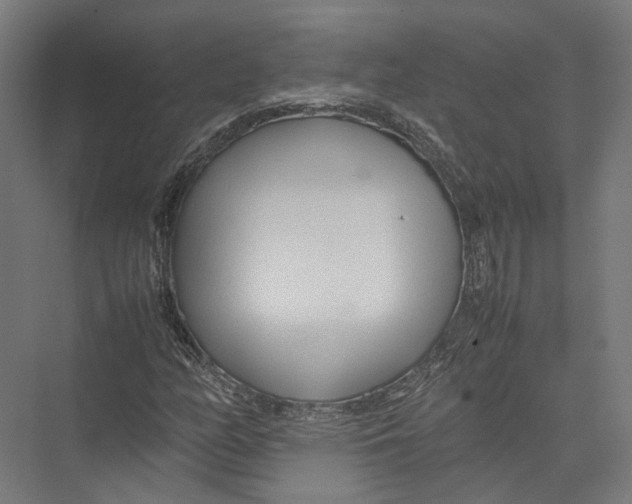 X0000075361158200610061739