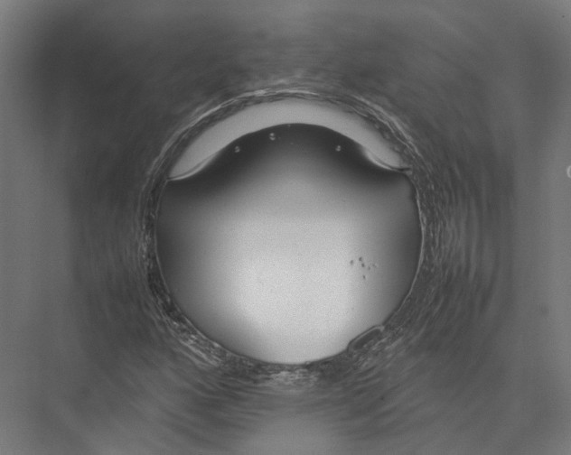 X0000075361160200610061739