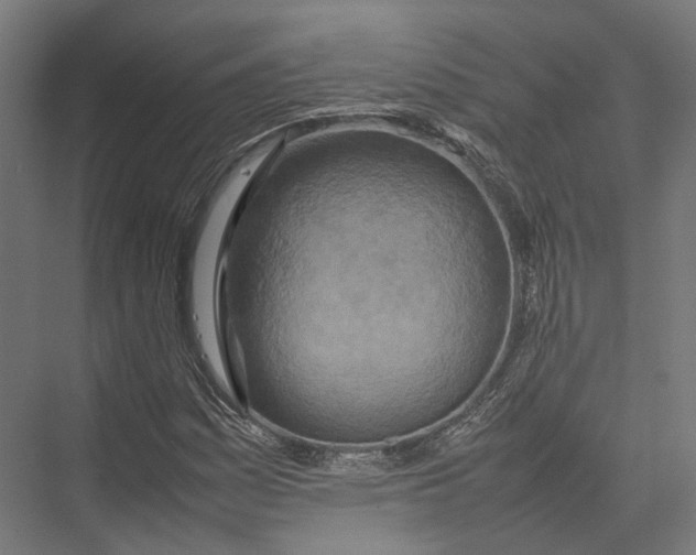 X0000075361161200610061739