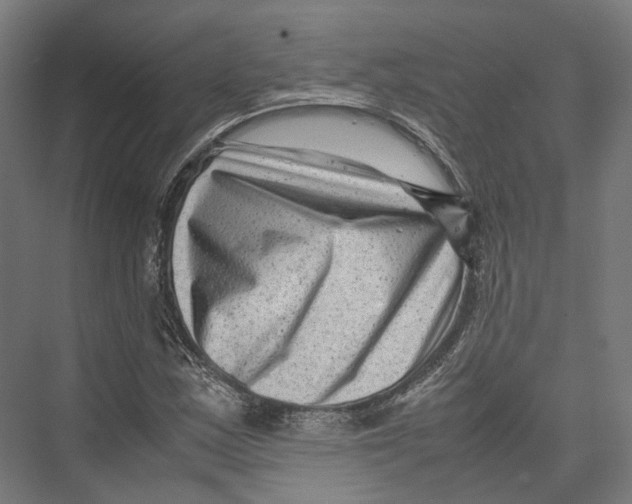 X0000075361163200610061739