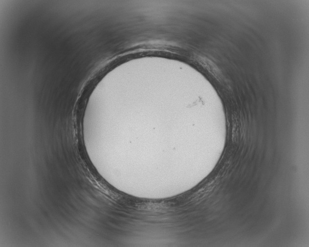 X0000075361164200610061739