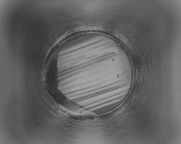 X0000075361165200610061739