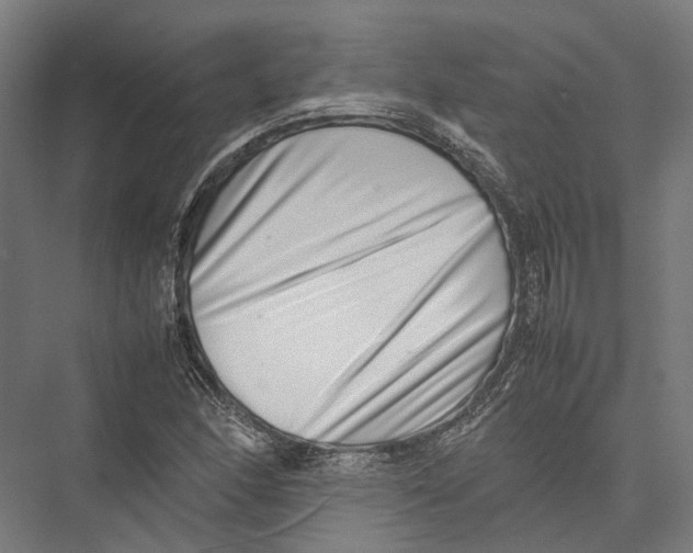 X0000075361166200610061739