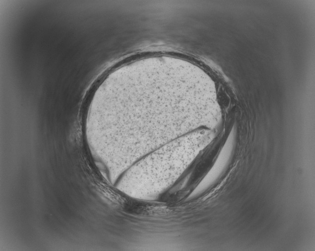 X0000075361167200610061739