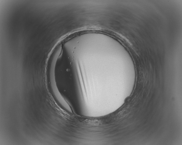 X0000075361168200610061739