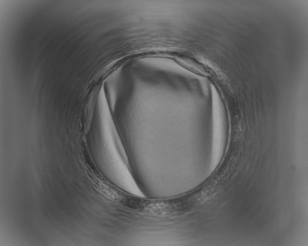 X0000075361169200610061739