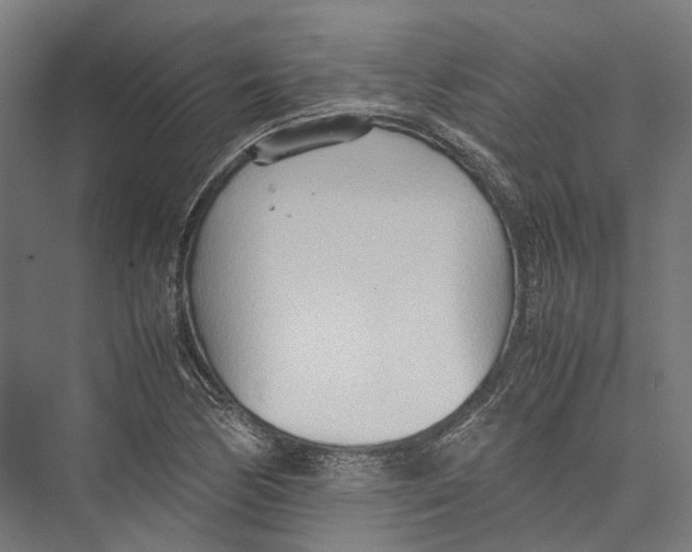 X0000075361170200610061739